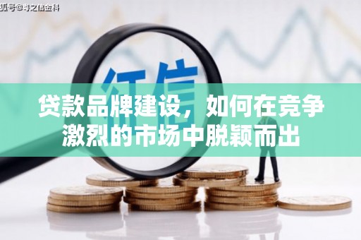 万峦贷款品牌建设，如何在竞争激烈的市场中脱颖而出