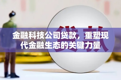 万峦金融科技公司贷款，重塑现代金融生态的关键力量