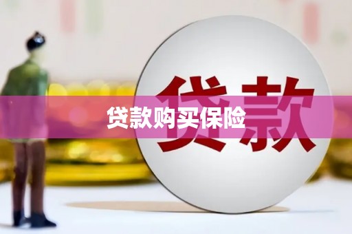 万峦贷款购买保险