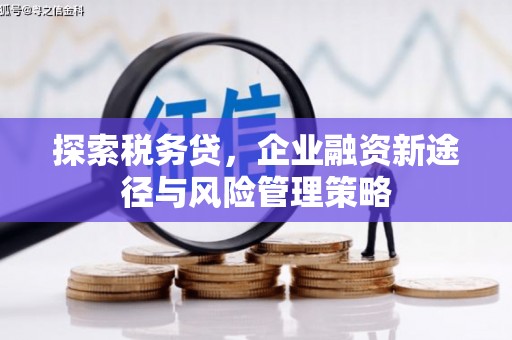 万峦探索税务贷，企业融资新途径与风险管理策略