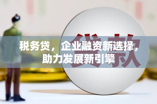 万峦税务贷，企业融资新选择，助力发展新引擎