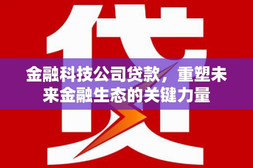 万峦金融科技公司贷款，重塑未来金融生态的关键力量