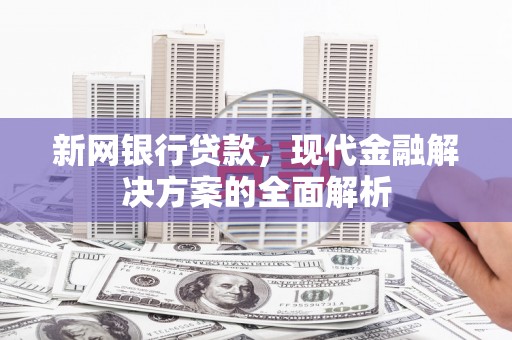 万峦新网银行贷款，现代金融解决方案的全面解析