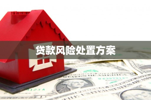 万峦贷款风险处置方案