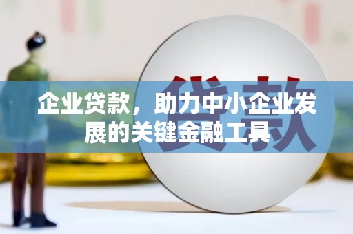 万峦企业贷款，助力中小企业发展的关键金融工具