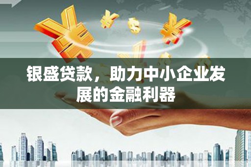 万峦银盛贷款，助力中小企业发展的金融利器