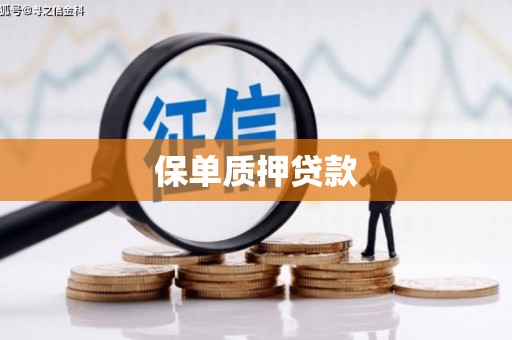 万峦保单质押贷款