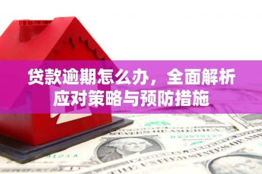 万峦贷款逾期怎么办，全面解析应对策略与预防措施