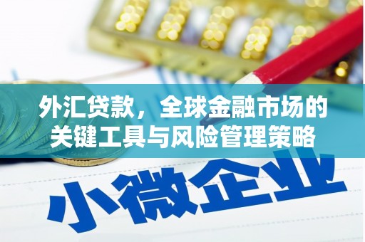 万峦外汇贷款，全球金融市场的关键工具与风险管理策略