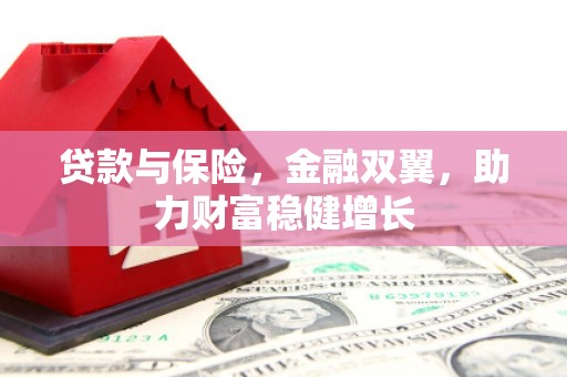 万峦贷款与保险，金融双翼，助力财富稳健增长