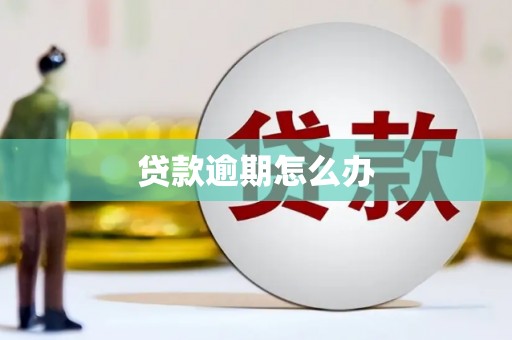 万峦贷款逾期怎么办