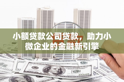 万峦小额贷款公司贷款，助力小微企业的金融新引擎