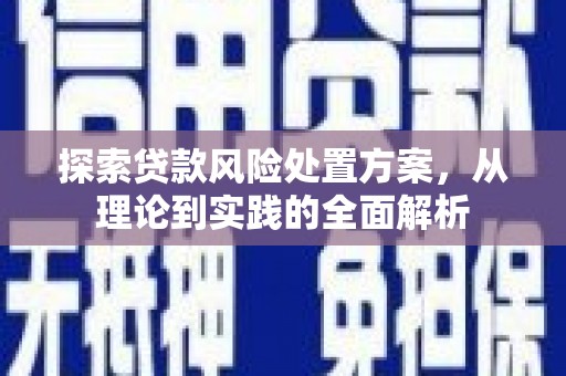 万峦探索贷款风险处置方案，从理论到实践的全面解析