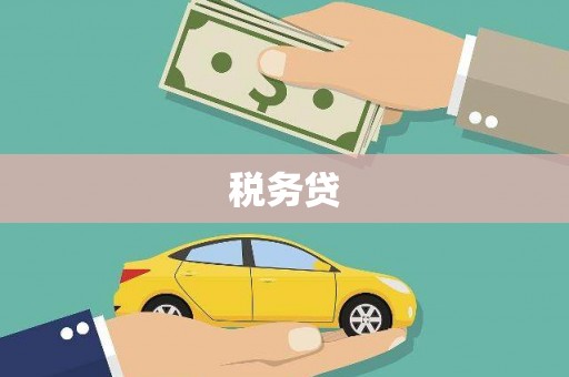 万峦税务贷