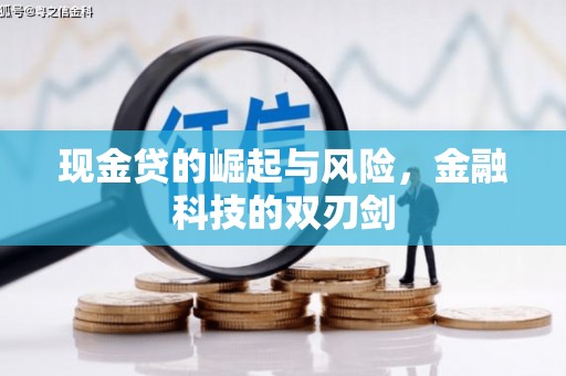 万峦现金贷的崛起与风险，金融科技的双刃剑