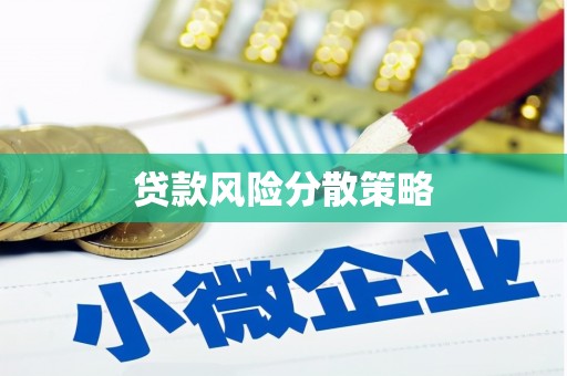 万峦贷款风险分散策略