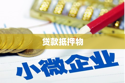 万峦贷款抵押物