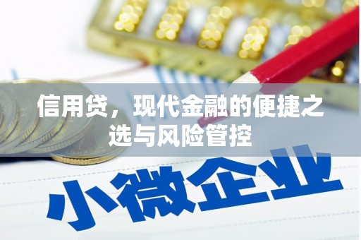 万峦信用贷，现代金融的便捷之选与风险管控