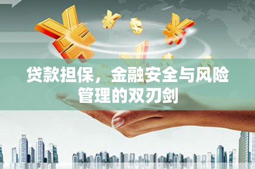 万峦贷款担保，金融安全与风险管理的双刃剑