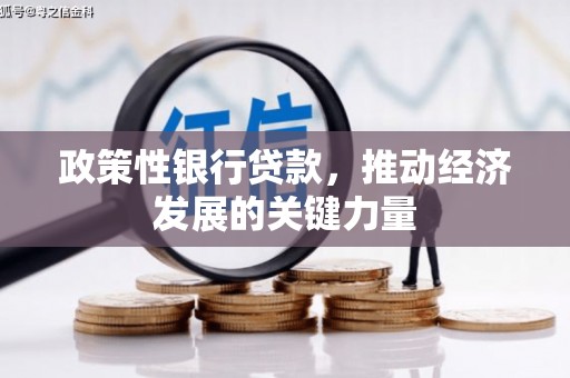 万峦政策性银行贷款，推动经济发展的关键力量