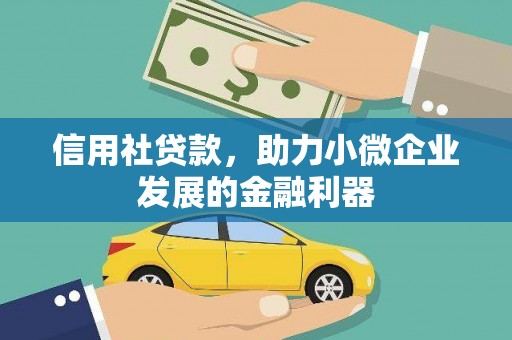 万峦信用社贷款，助力小微企业发展的金融利器