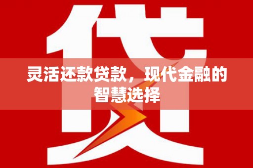 万峦灵活还款贷款，现代金融的智慧选择