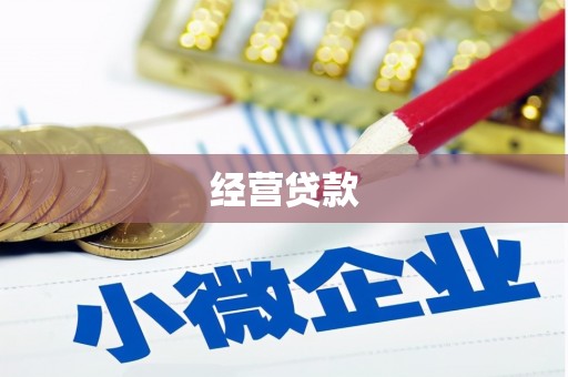 万峦经营贷款
