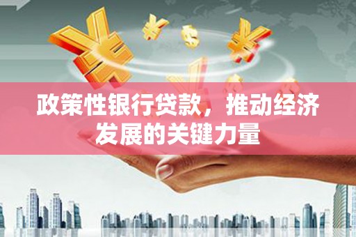 万峦政策性银行贷款，推动经济发展的关键力量