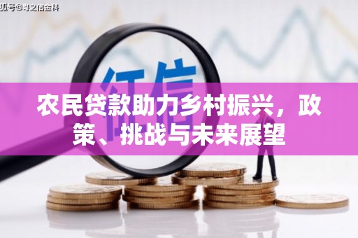 万峦农民贷款助力乡村振兴，政策、挑战与未来展望