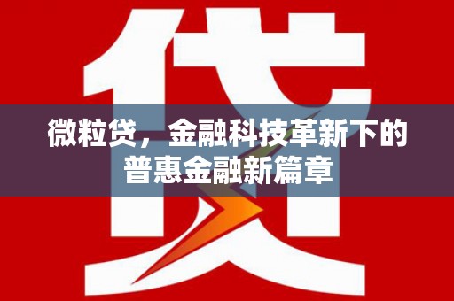万峦微粒贷，金融科技革新下的普惠金融新篇章