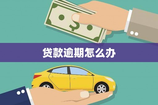 万峦贷款逾期怎么办