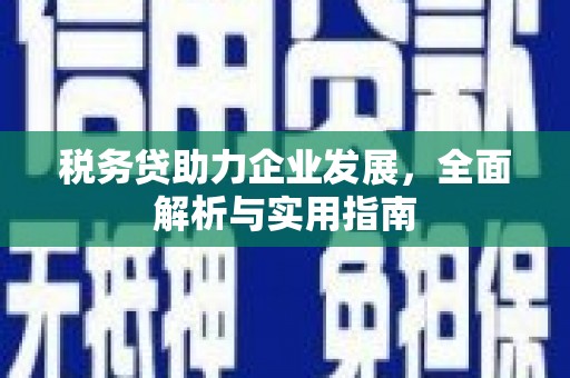 万峦税务贷助力企业发展，全面解析与实用指南