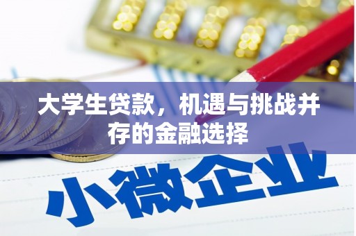 万峦大学生贷款，机遇与挑战并存的金融选择