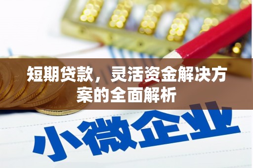 万峦短期贷款，灵活资金解决方案的全面解析