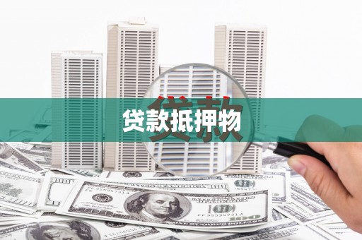 万峦贷款抵押物