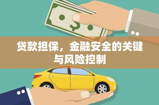 万峦贷款担保，金融安全的关键与风险控制