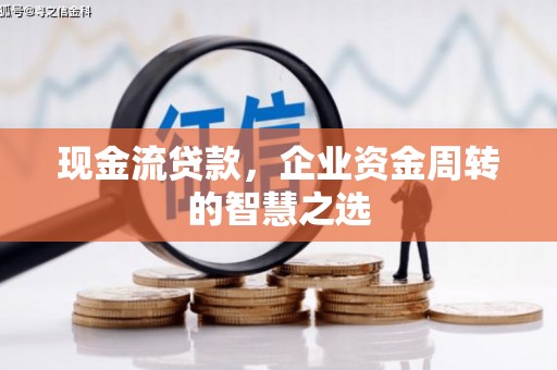 万峦现金流贷款，企业资金周转的智慧之选