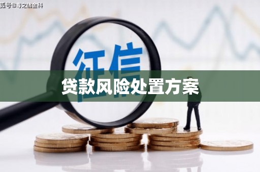 万峦贷款风险处置方案