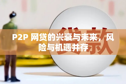 万峦P2P 网贷的兴衰与未来，风险与机遇并存