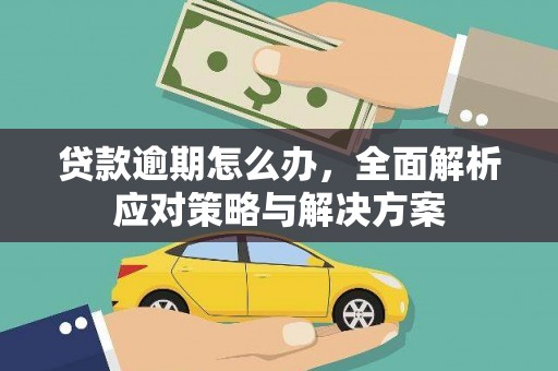 万峦贷款逾期怎么办，全面解析应对策略与解决方案