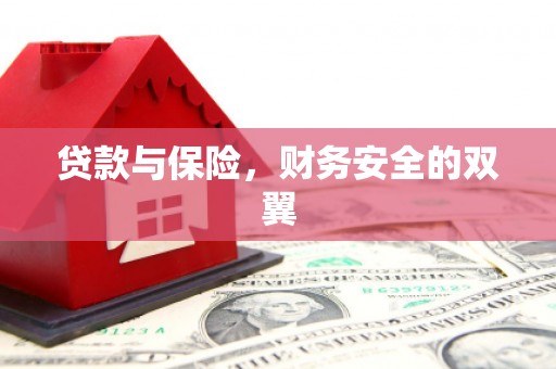 万峦贷款与保险，财务安全的双翼
