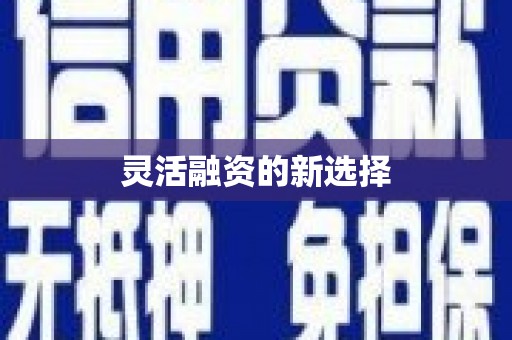 万峦灵活融资的新选择