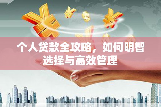 万峦个人贷款全攻略，如何明智选择与高效管理