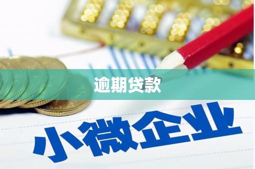 万峦逾期贷款