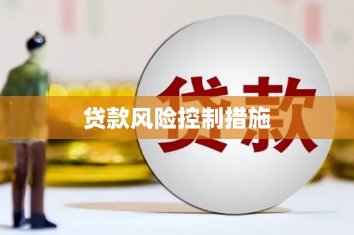 万峦贷款风险控制措施
