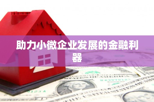 万峦助力小微企业发展的金融利器