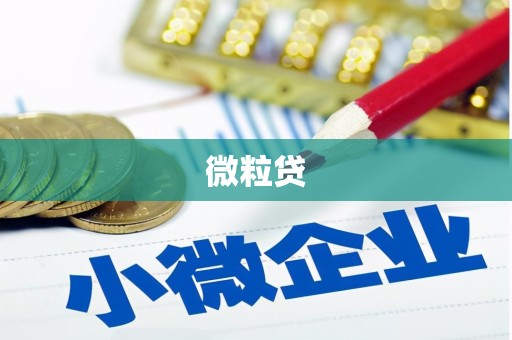 万峦微粒贷