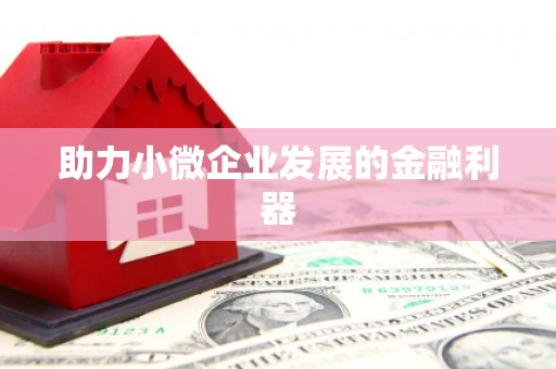 万峦助力小微企业发展的金融利器