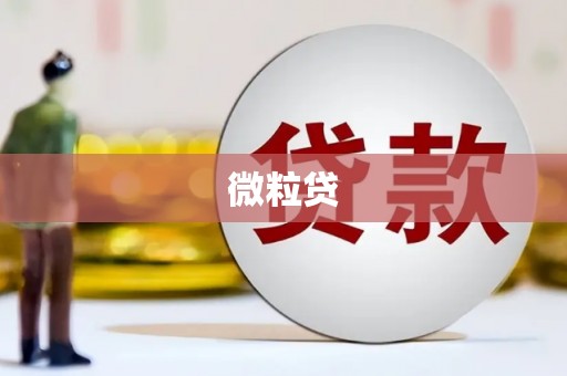 万峦微粒贷