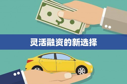 万峦灵活融资的新选择